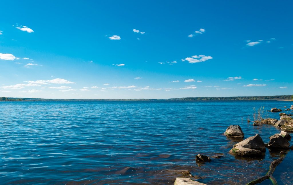 View of a lake from the shore